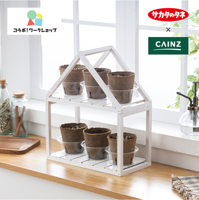 タネから育てるおやさいハウス