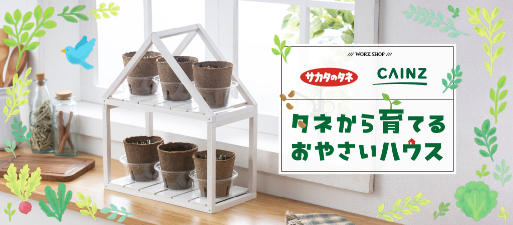 タネから育てるおやさいハウス