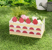 タネから育てるケーキ風プランター