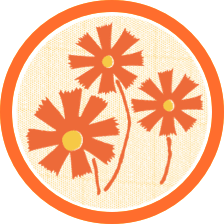 アデリアレトロなカフェトレイ