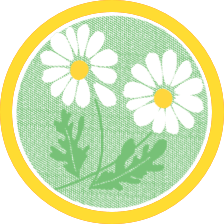 アデリアレトロなカフェトレイ