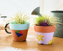 素焼き鉢ペイント