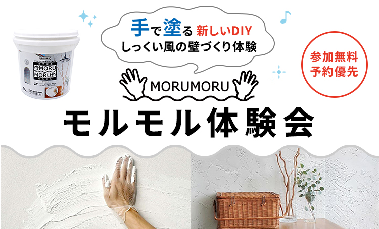 モルモル体験会